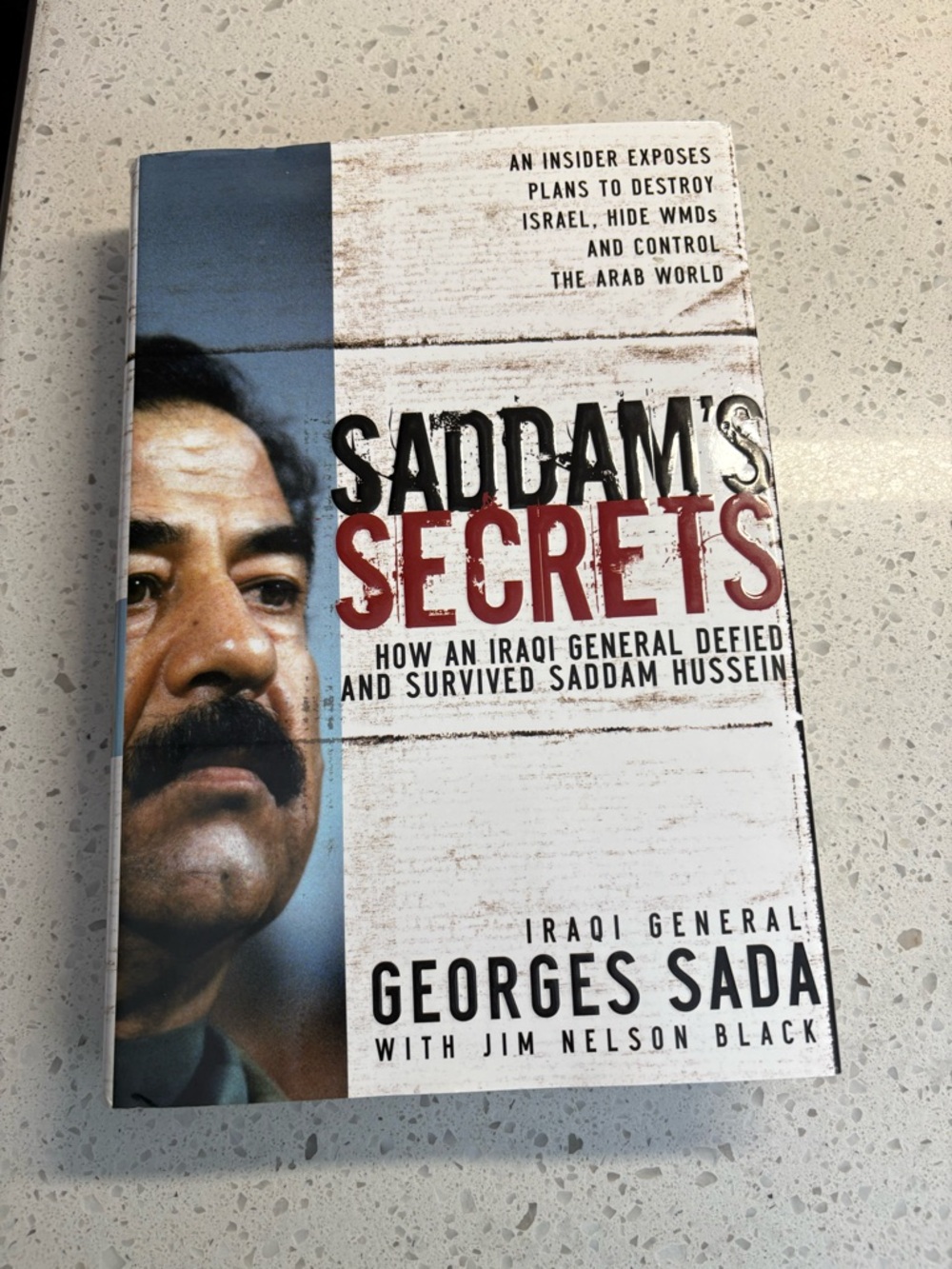 Saddam's Secrets by Georges Hormuz Sada Hardcover Book